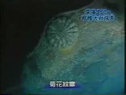 海底に眠る大和.jpg